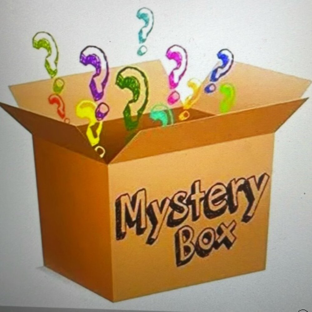 WOMEN'S MYSTERY BOX  of 6 pc size 18P A. Dunner $33.00 only
